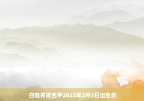 白姓男孩名字2025年2月5日出生的