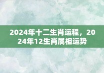 2024年十二生肖运程，2024年12生肖属相运势