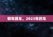 明年提车，2023年的车