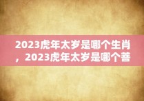 2023虎年太岁是哪个生肖，2023虎年太岁是哪个菩萨