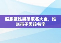 赵跟戴姓男孩取名大全，姓赵带子男孩名字