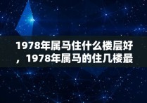 1978年属马住什么楼层好，1978年属马的住几楼最旺最好