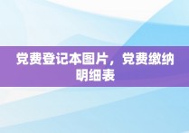 党费登记本图片，党费缴纳明细表