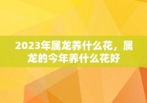 2023年属龙养什么花，属龙的今年养什么花好