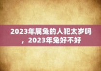 2023年属兔的人犯太岁吗，2023年兔好不好