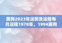 属狗2023年运势及运程每月运程1970年，1994属狗2023年运势及运程详解