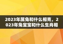 2023年属兔和什么相克，2023年兔宝宝和什么生肖相冲