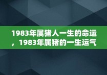 1983年属猪人一生的命运，1983年属猪的一生运气和命运