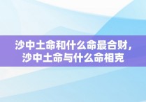 沙中土命和什么命最合财，沙中土命与什么命相克