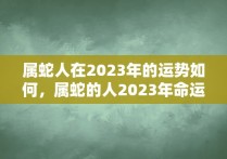 属蛇人在2023年的运势如何，属蛇的人2023年命运如何