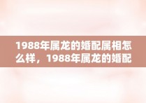 1988年属龙的婚配属相怎么样，1988年属龙的婚配属相男