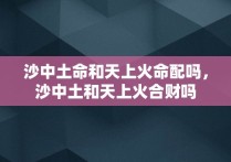 沙中土命和天上火命配吗，沙中土和天上火合财吗