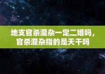 地支官杀混杂一定二婚吗，官杀混杂指的是天干吗