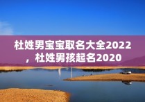 杜姓男宝宝取名大全2022，杜姓男孩起名2020