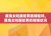 属兔女和属蛇男能婚配吗，属兔女和属蛇男的婚姻状况怎么样