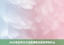 2025年正月廿六出生唐姓女孩名字叫什么