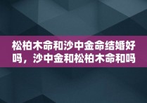 松柏木命和沙中金命结婚好吗，沙中金和松柏木命和吗?