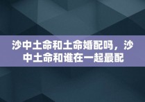 沙中土命和土命婚配吗，沙中土命和谁在一起最配