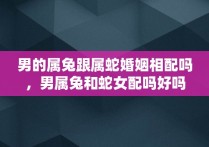 男的属兔跟属蛇婚姻相配吗，男属兔和蛇女配吗好吗