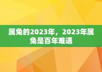 属兔的2023年，2023年属兔是百年难遇