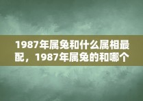 1987年属兔和什么属相最配，1987年属兔的和哪个属相合财