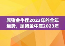 属猪金牛座2023年的全年运势，属猪金牛座2023年运程