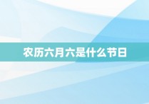 农历六月六是什么节日