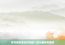 梦见抓蛇是吉还是凶？周公解梦来解答