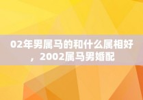 02年男属马的和什么属相好，2002属马男婚配