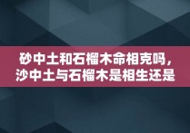 砂中土和石榴木命相克吗，沙中土与石榴木是相生还是相克