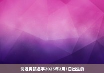 沈姓男孩名字2025年2月1日出生的