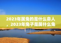 2023年属兔的是什么命人，2023年兔子是属什么兔子