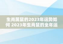 生肖属鼠的2023年运势如何 2023年生肖鼠的全年运势