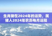 生肖猪在2024年的运势，属猪人2024年农历每月运程开运随记