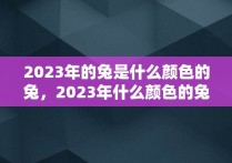 2023年的兔是什么颜色的兔，2023年什么颜色的兔