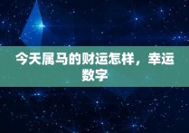 今天属马的财运怎样，幸运数字