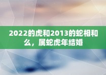 2022的虎和2013的蛇相和么，属蛇虎年结婚