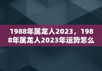 1988年属龙人2023，1988年属龙人2023年运势怎么样