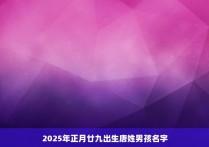 2025年正月廿九出生唐姓男孩名字