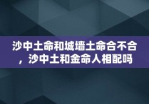 沙中土命和城墙土命合不合，沙中土和金命人相配吗