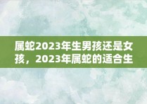 属蛇2023年生男孩还是女孩，2023年属蛇的适合生子吗