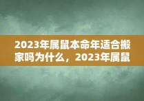 2023年属鼠本命年适合搬家吗为什么，2023年属鼠的适合结婚吗