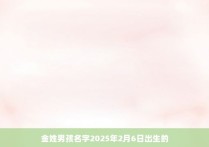 金姓男孩名字2025年2月6日出生的