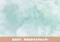 宝宝姓于，属兔的男孩名字怎么样？