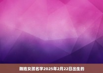 魏姓女孩名字2025年2月22日出生的