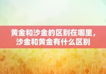 黄金和沙金的区别在哪里，沙金和黄金有什么区别