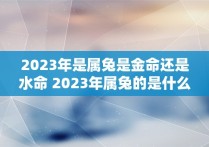 2023年是属兔是金命还是水命 2023年属兔的是什么命什么水