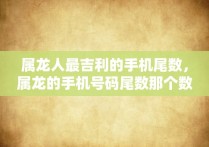 属龙人最吉利的手机尾数，属龙的手机号码尾数那个数字带来财运呀!