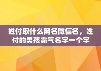 姓付取什么网名微信名，姓付的男孩霸气名字一个字