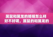 属鼠和属龙的婚姻怎么样 好不好呢，属鼠的和属龙的相配结果会怎么样